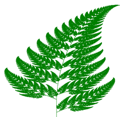 Barnsley fern plotted with VisSim.png