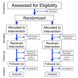 Flowchart of Phases of Parallel Randomized Trial - Modified from CONSORT 2010.png