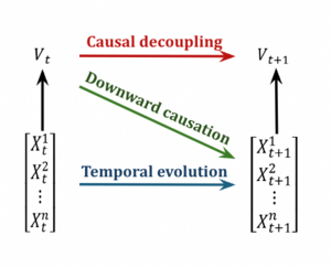 Causal Emergence Relationship Diagram.png