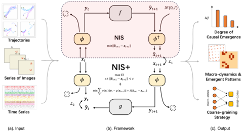 NIS模型框架图