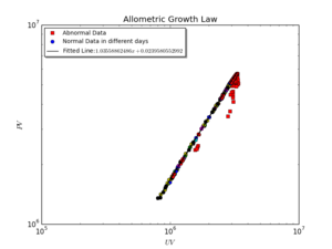 Indinana Clickstream allometric growth.png