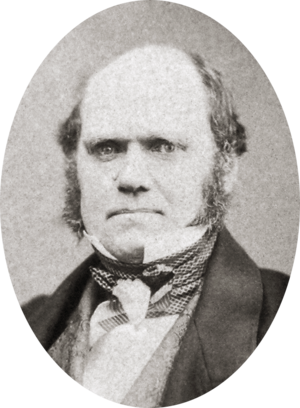 Charles Darwin by Maull and Polyblank, 1855-crop.png