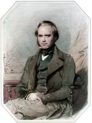 Charles Darwin by G. Richmond.png