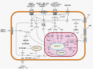 QQ图片20201010204403.png