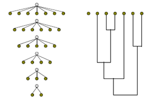 Decisiontree chaid clustering.png