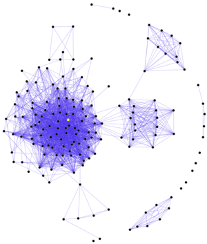 Social Network Diagram (large).svg.png