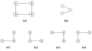 Different occurrences of a sub-graph in a graph.jpg