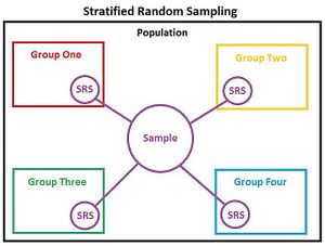 Graphic breakdown of stratified random sampling.jpeg