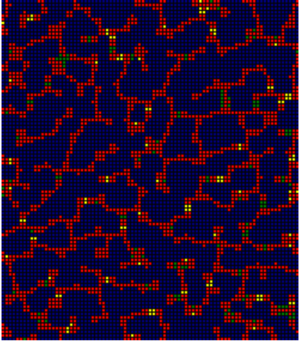 图17：元胞自动机模拟斑马的斑图.png