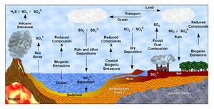 Sulfur Cycle (Ciclo do Enxofre).png
