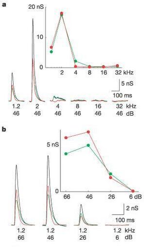 Fig2.jpg