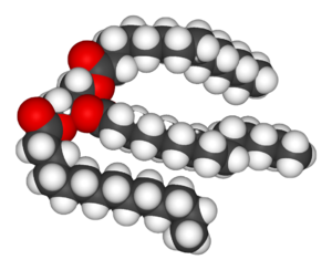 Trimyristin-3D-vdW.png