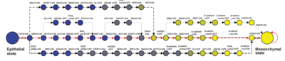 Phasenodes.gif