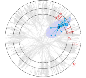 图32 复杂网络的双曲几何（图中紫色区域为双曲圆，中心节点与双曲圆内的节点有更大的概率产生链接.png