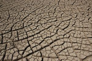 Cracked earth in the Rann of Kutch.jpg