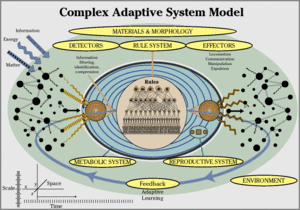 Complex adaptive system.gif