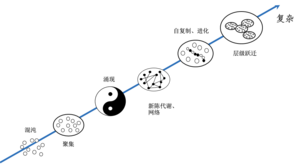 复杂性阶梯1.png