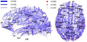 Network representation of brain connectivity.jpg