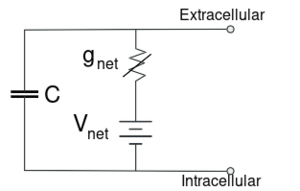 Cell membrane reduced circuit.svg