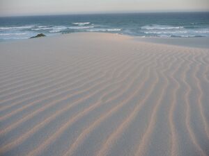 Sand dune ripples.jpg