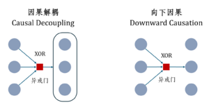 因果解耦与向下因果-new.png